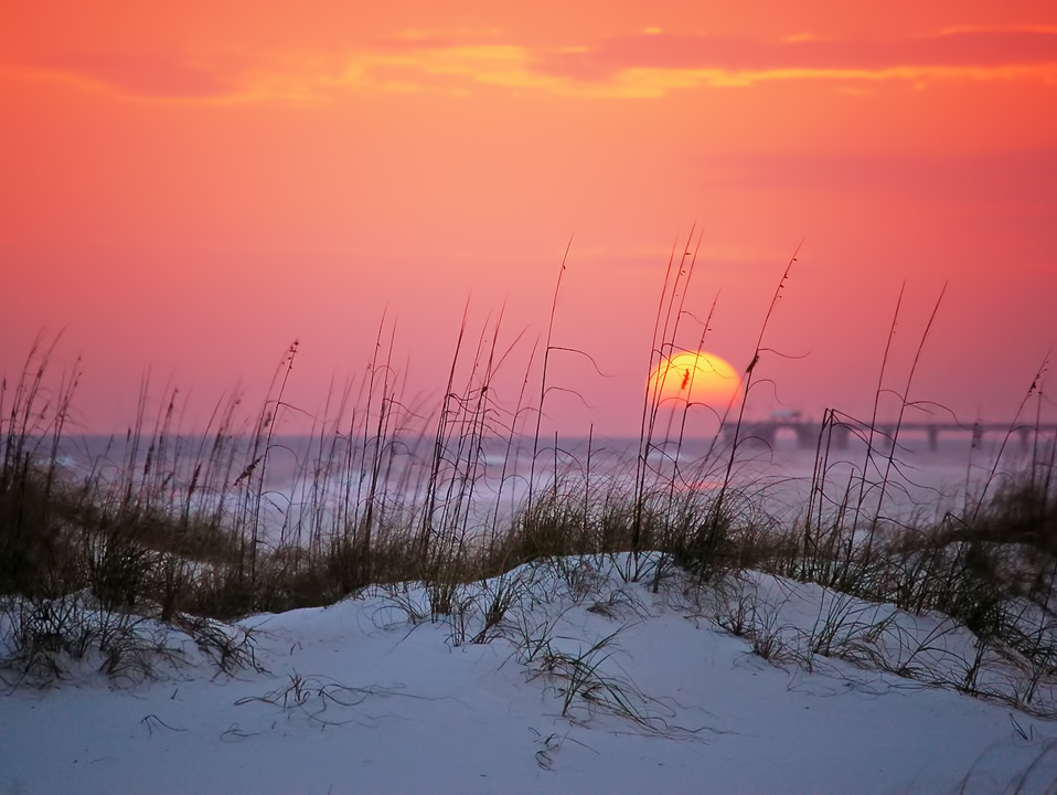Last Light