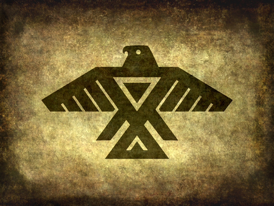 Thunderbird retro textured