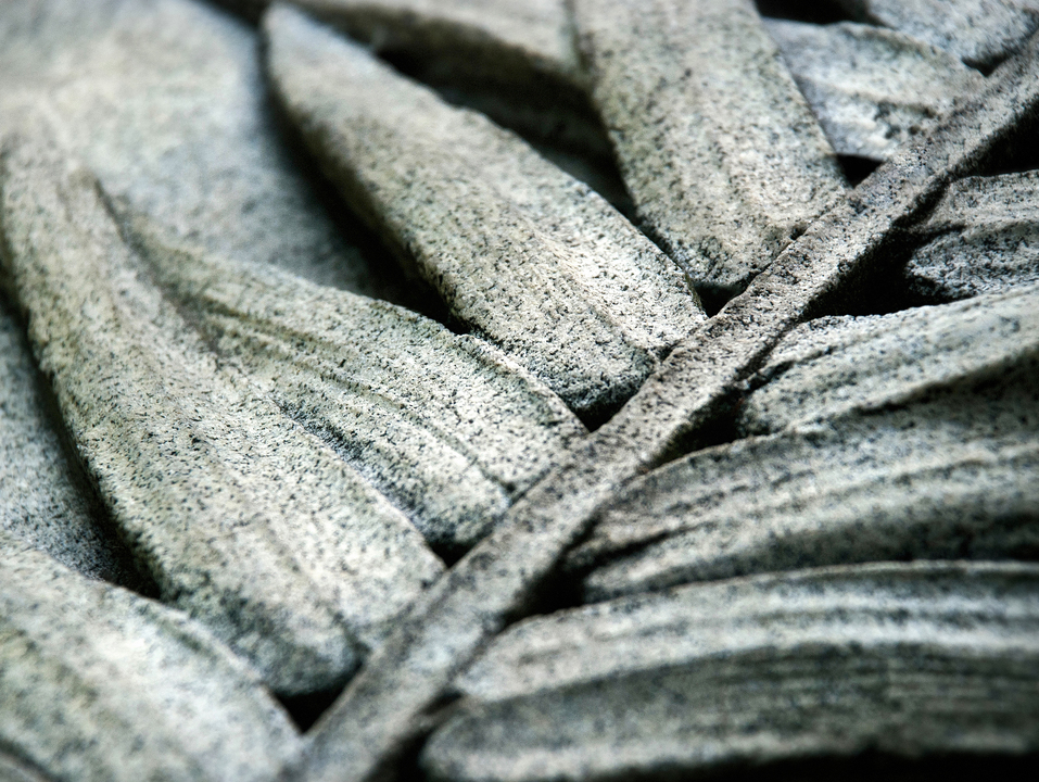 The Stone Fern 