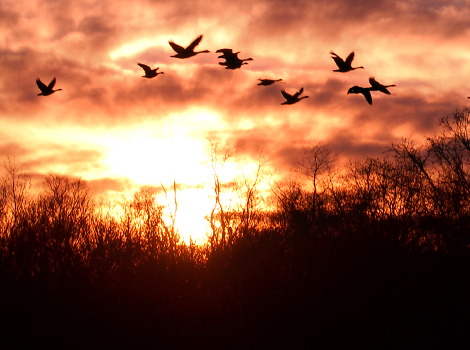 The day's last flight