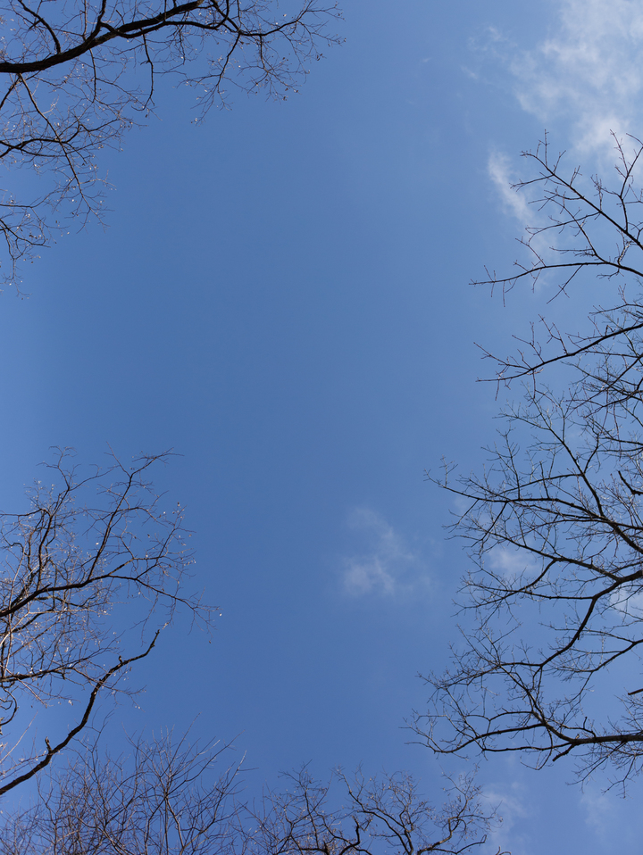 Sky with cloud