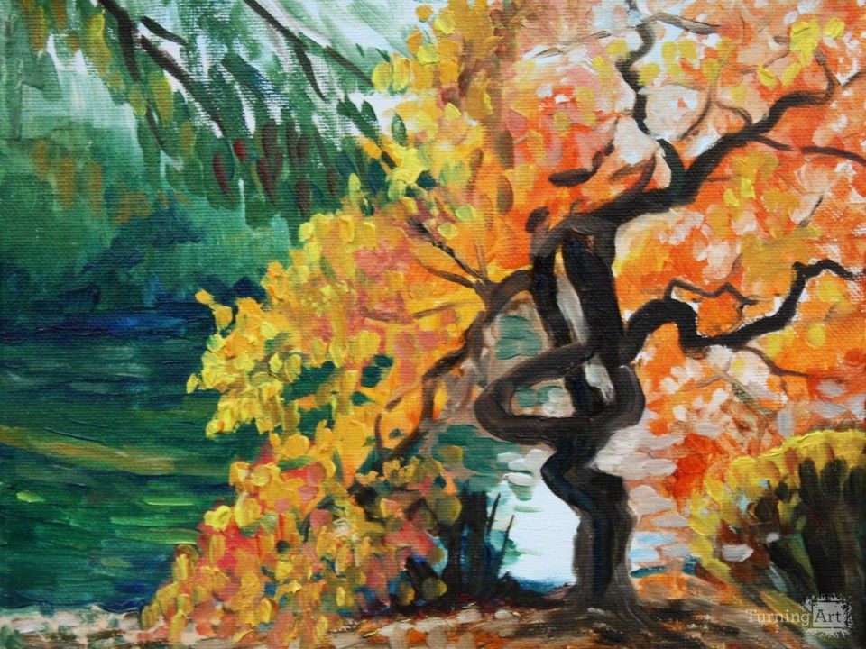 Twisted tree by the river