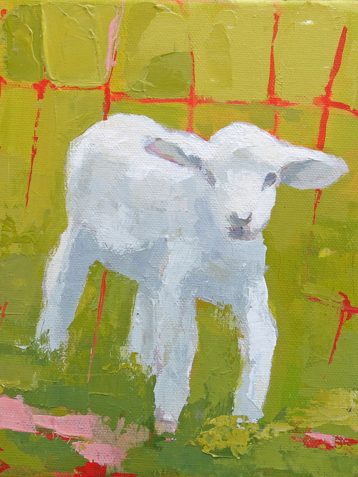 Baby Lamb