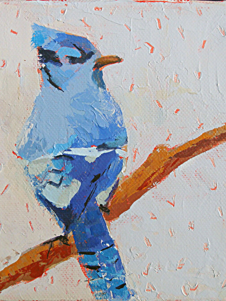 Blue Jay