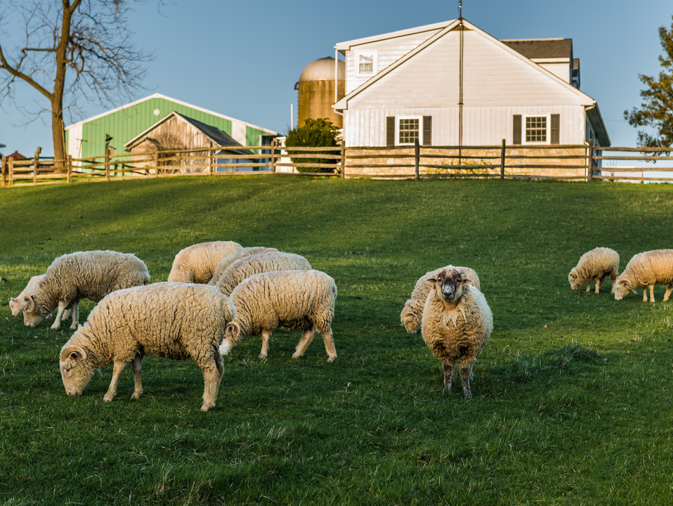 Lancaster Farmland