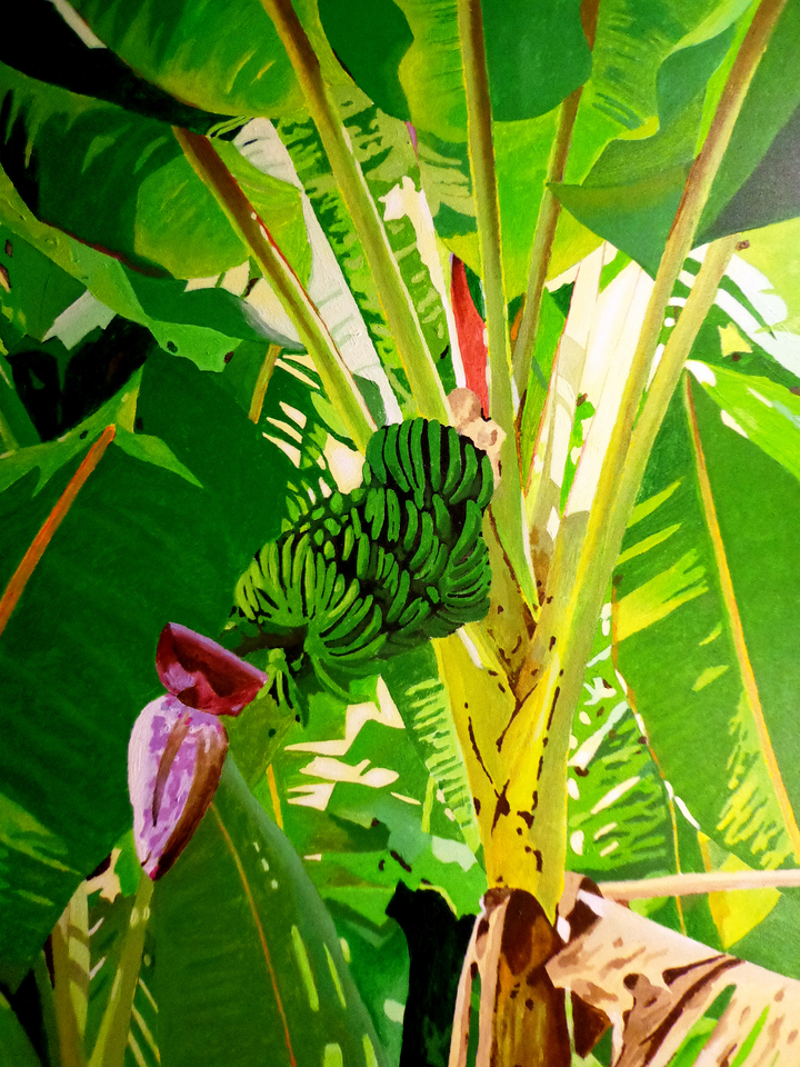 The Banana Tree