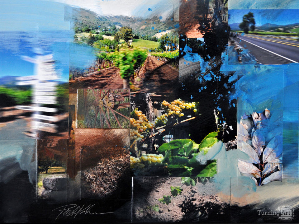 Driving in Wine Country