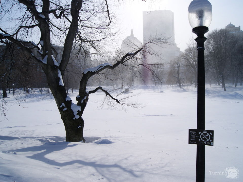 Boston Winter