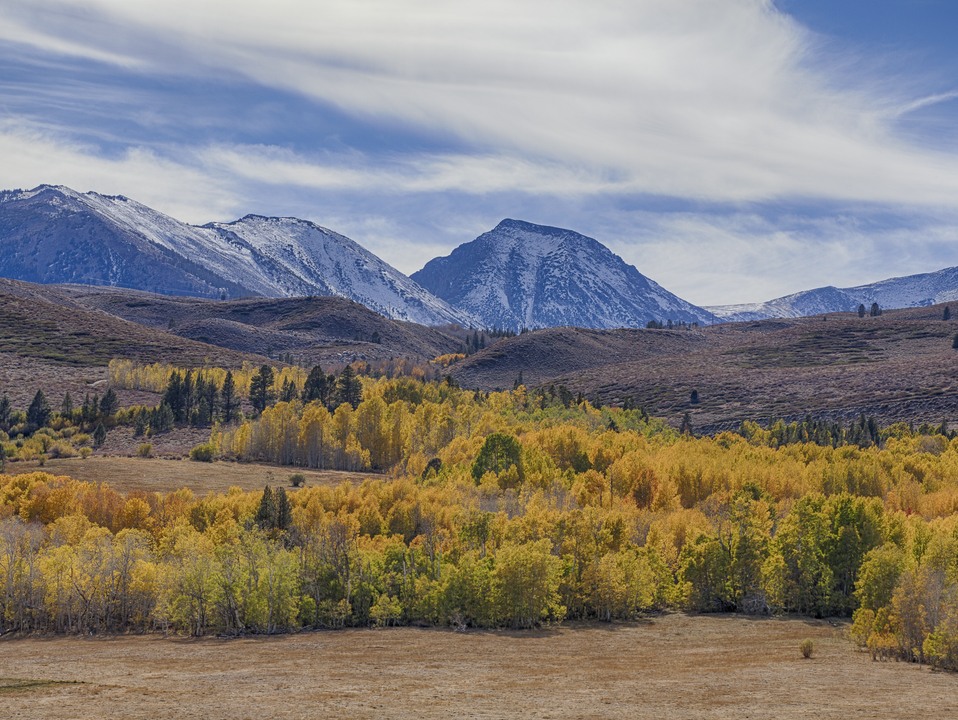 Snowy Mountains and Peak Color