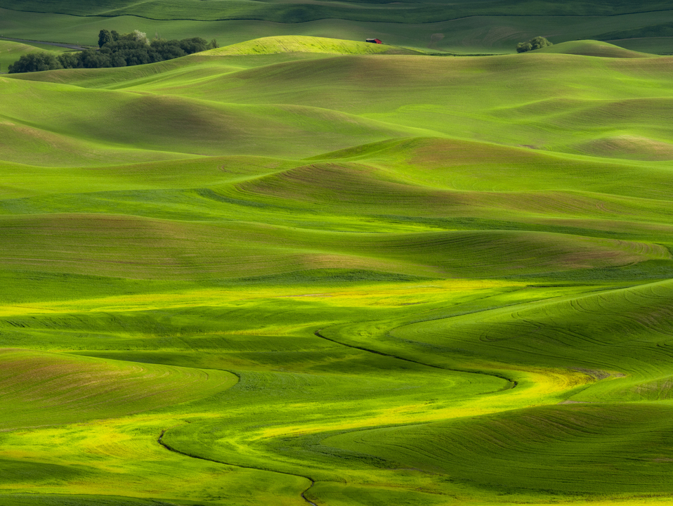 Red Barn and Rolling Hills