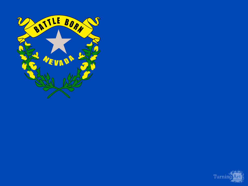 Nevada State Flag Authentic Version 