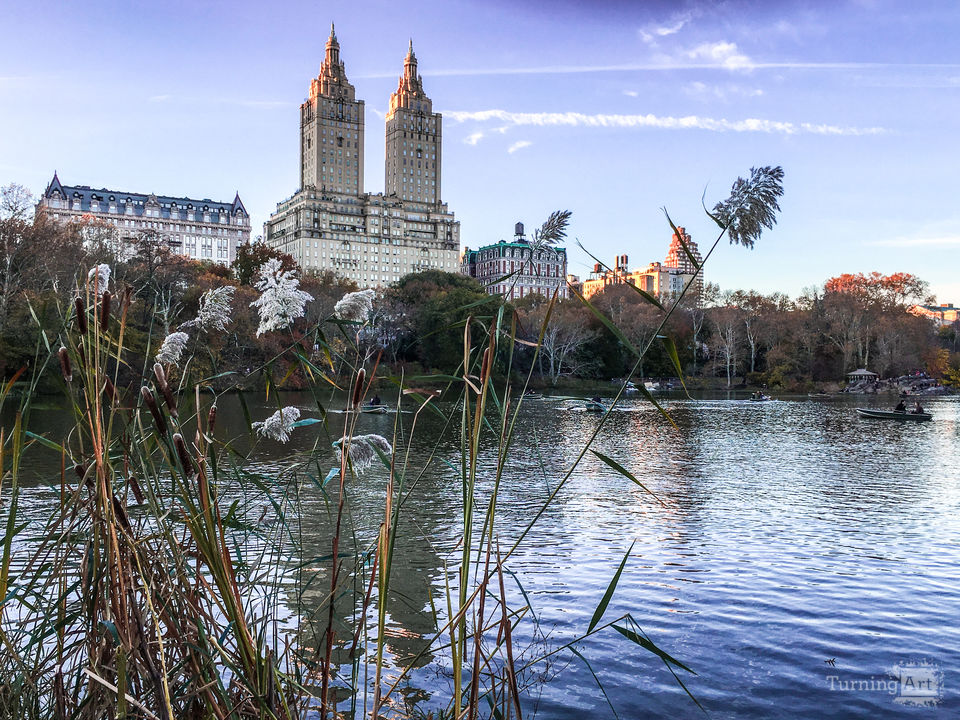 Central park new york