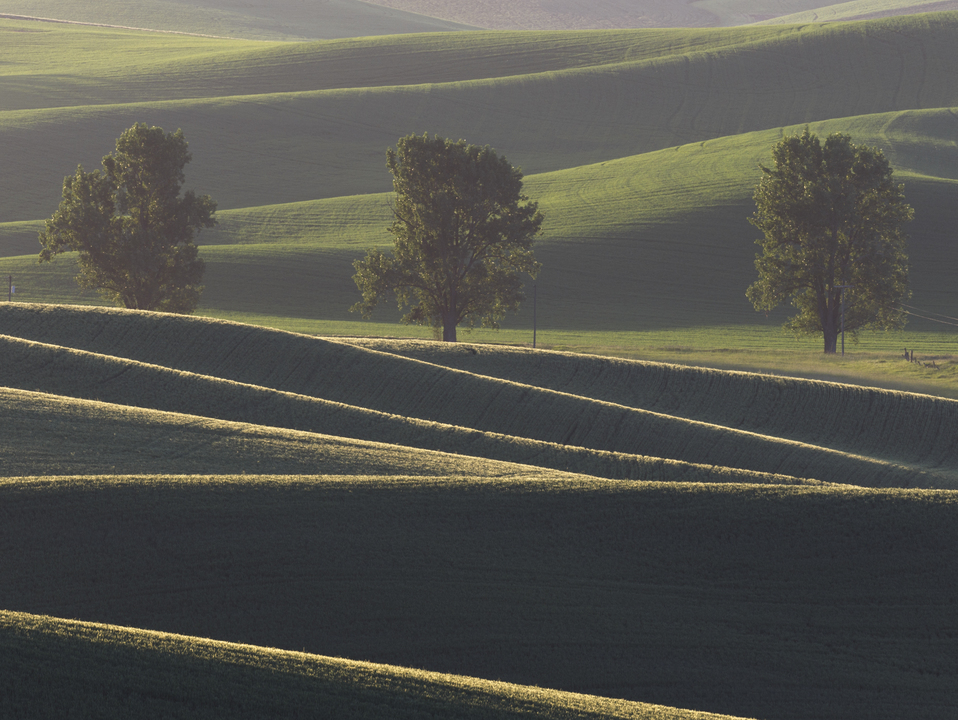 Sunrise at the Three Trees