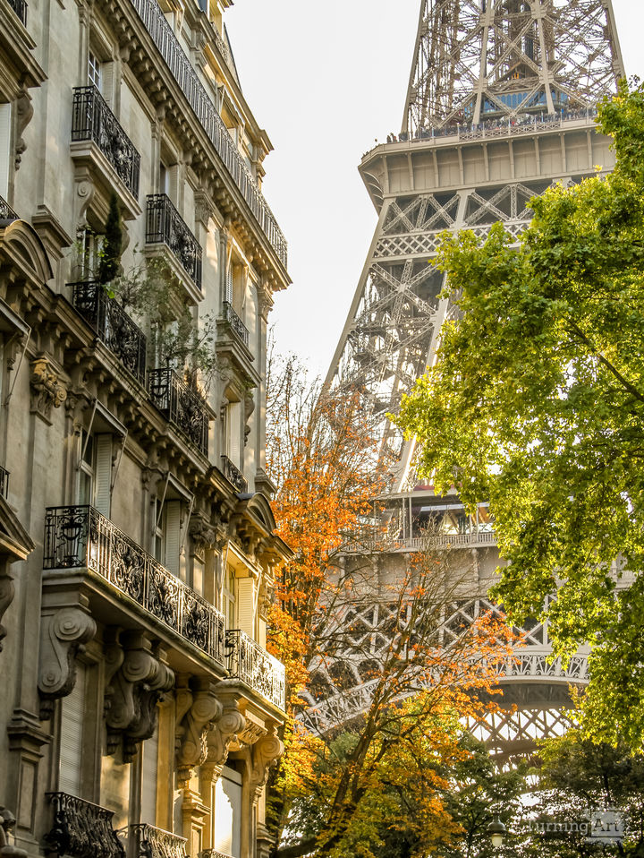 Sunlit eiffel tower in autumn