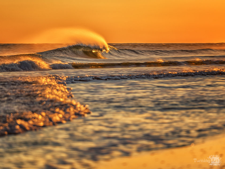 Brilliant Wave in the Wind