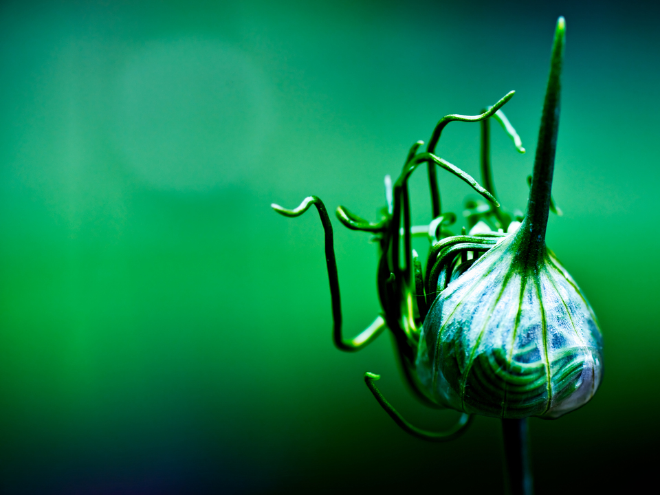 Born of a Broken Man