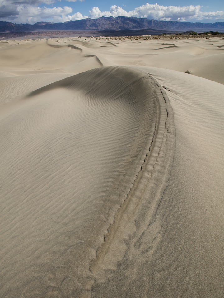 Crescent Dune