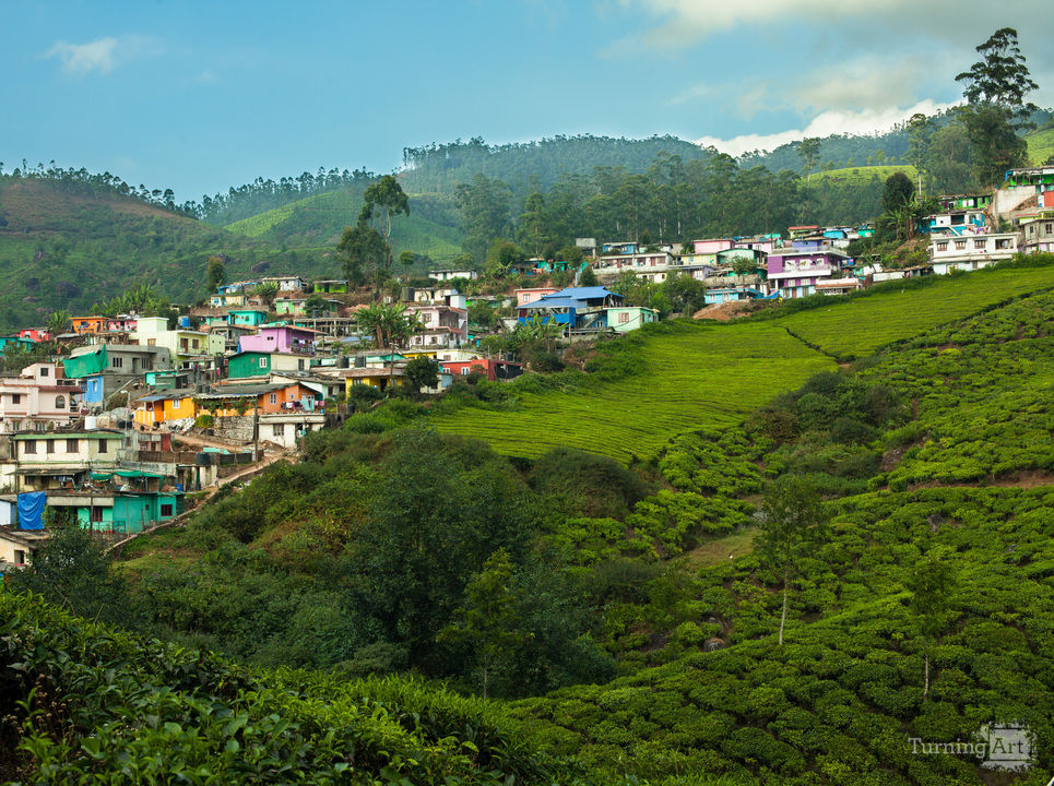 Tea Village in Munnar