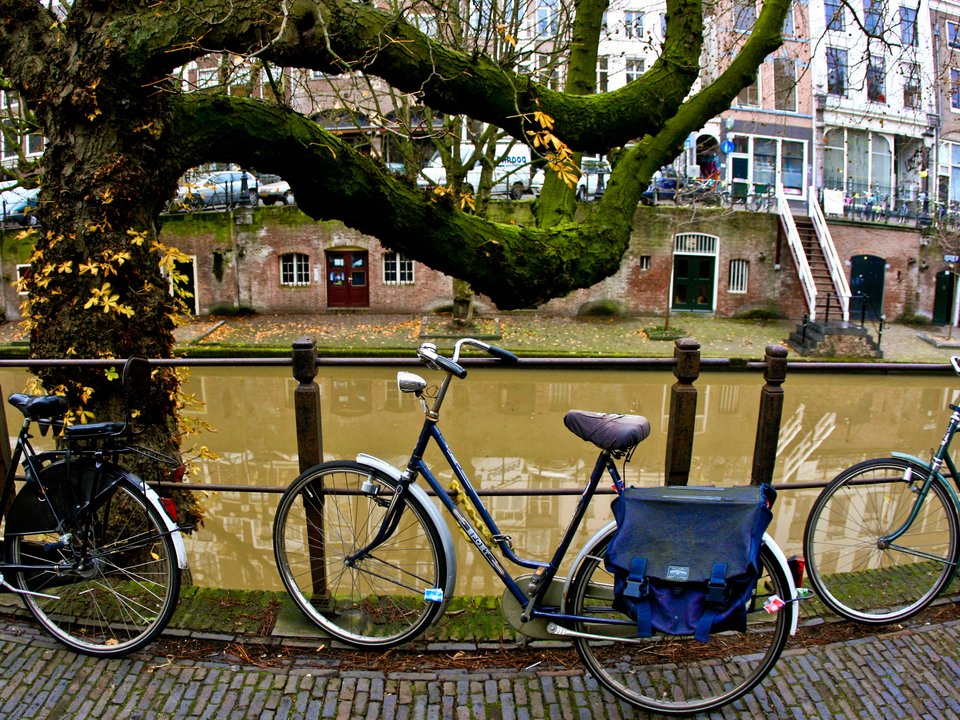Bikes In Utrecht