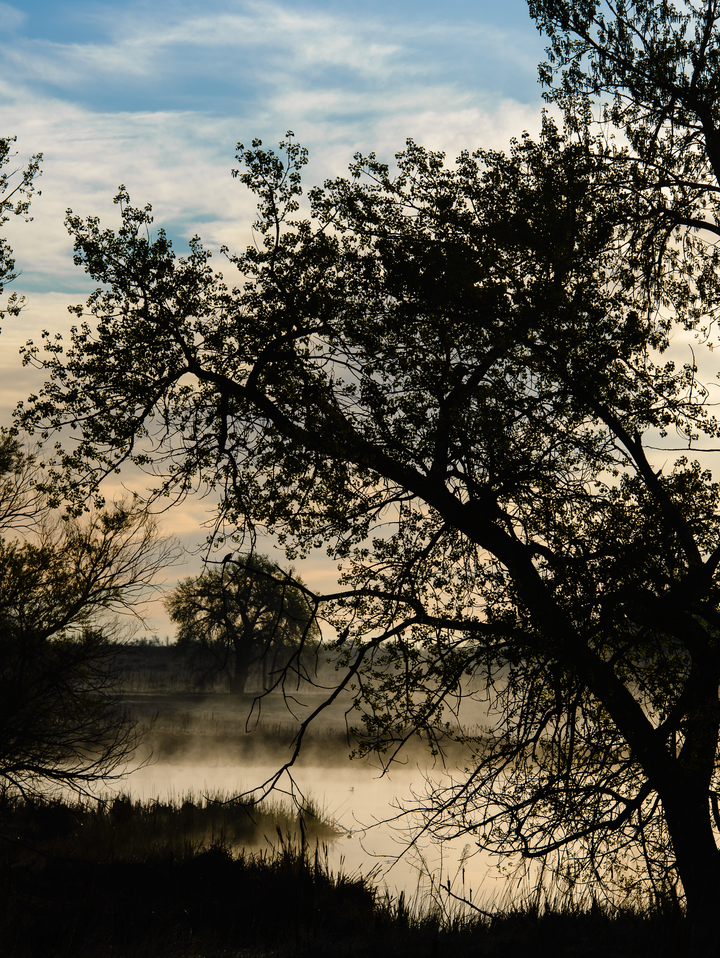 Sunrise over Lake Ladore