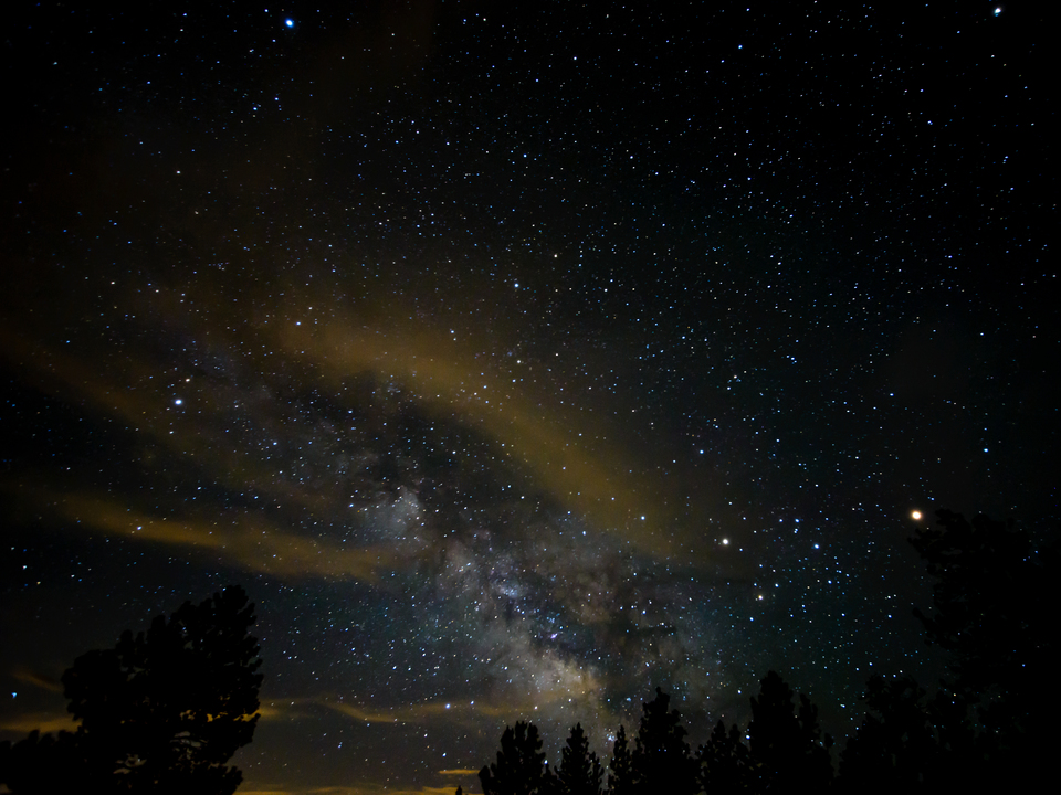 Stars over Webber Park