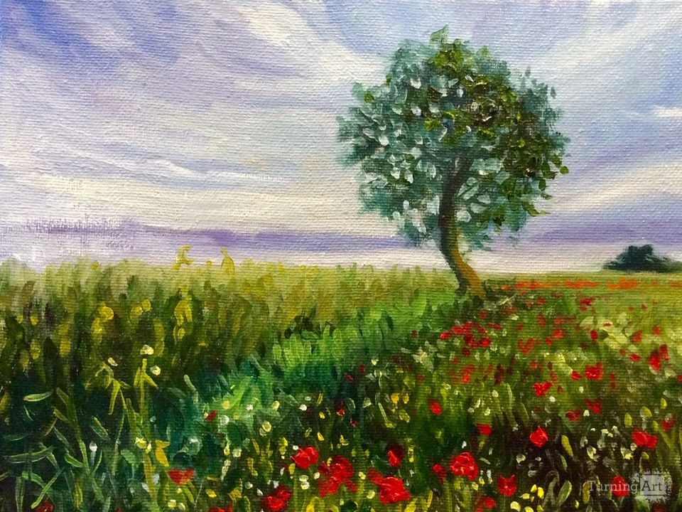 Poppies and wildflowers