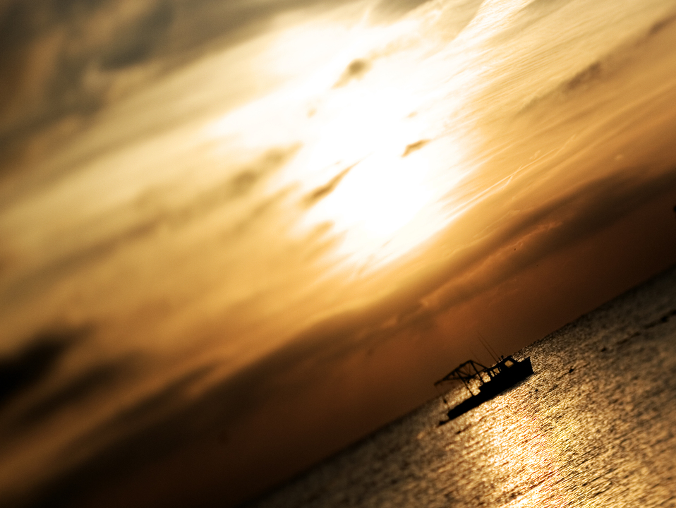 Last Catch of the Day