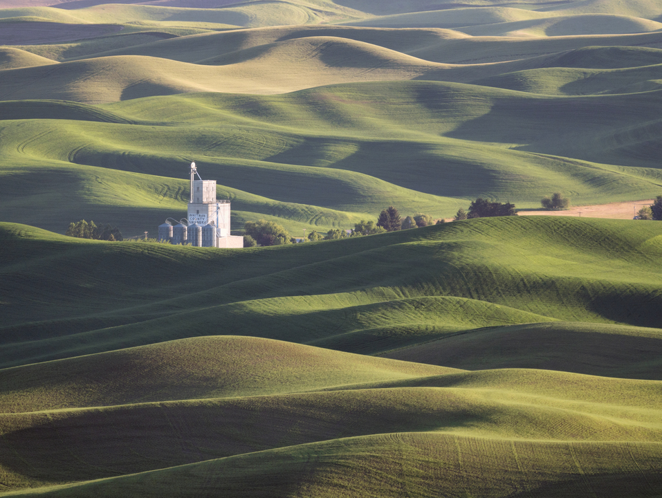 Whitman County Growers
