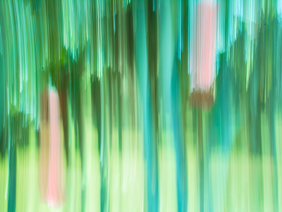 Abstract Moving Trees Green Shades