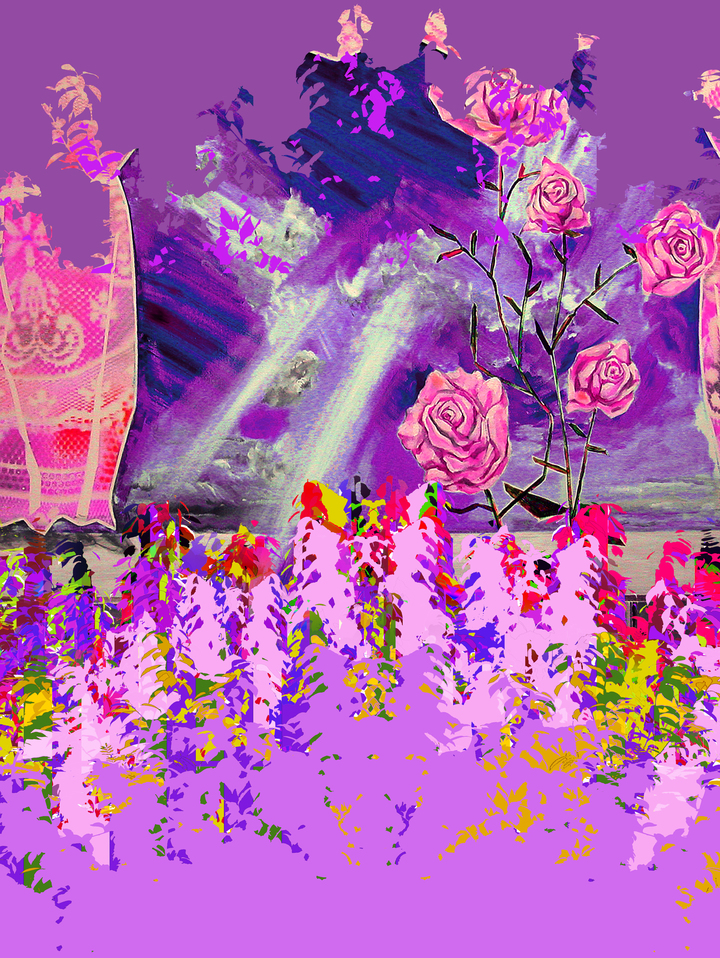 Pink Roses in Lavender Field