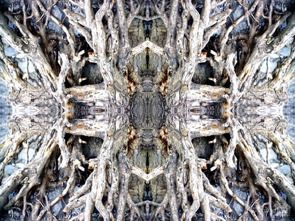 Mandala - The Unconscious