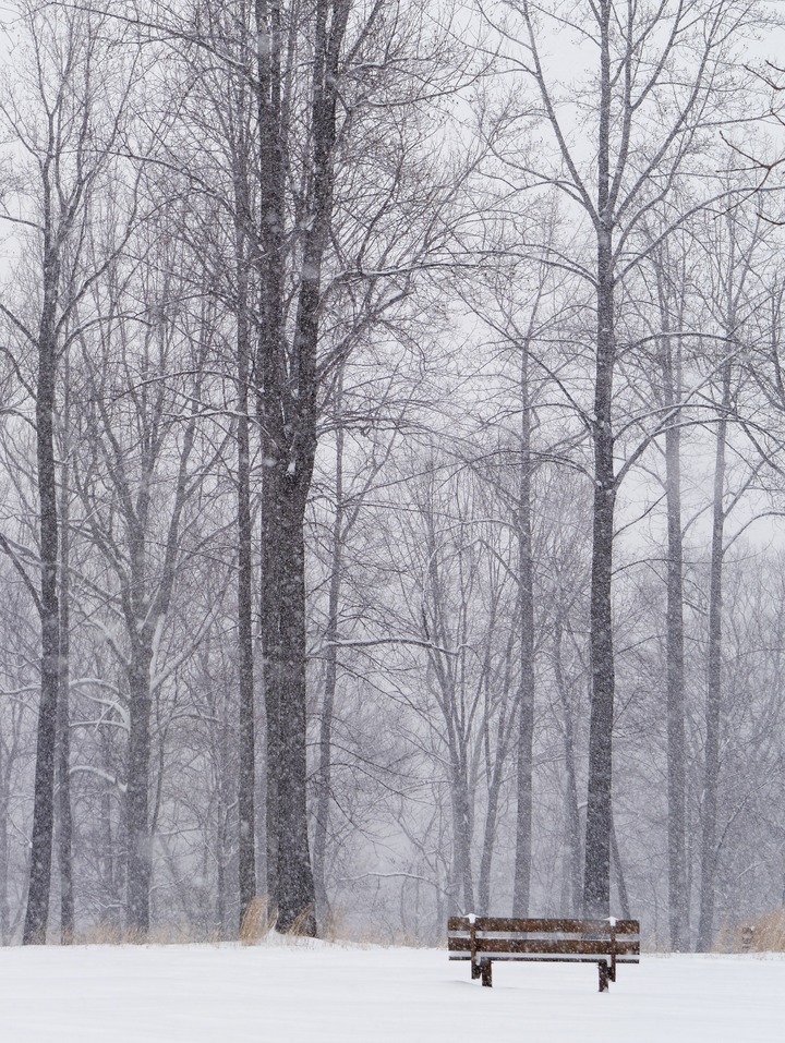 Bench in Snow