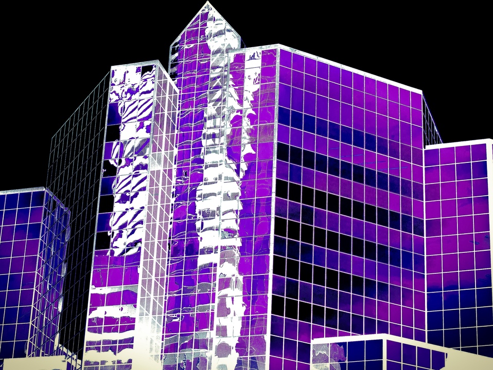 Purple Flowers in the Black Sky