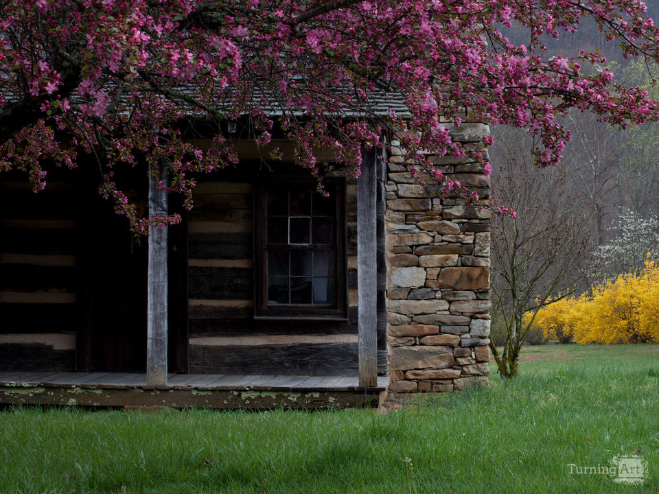 Carson cabin