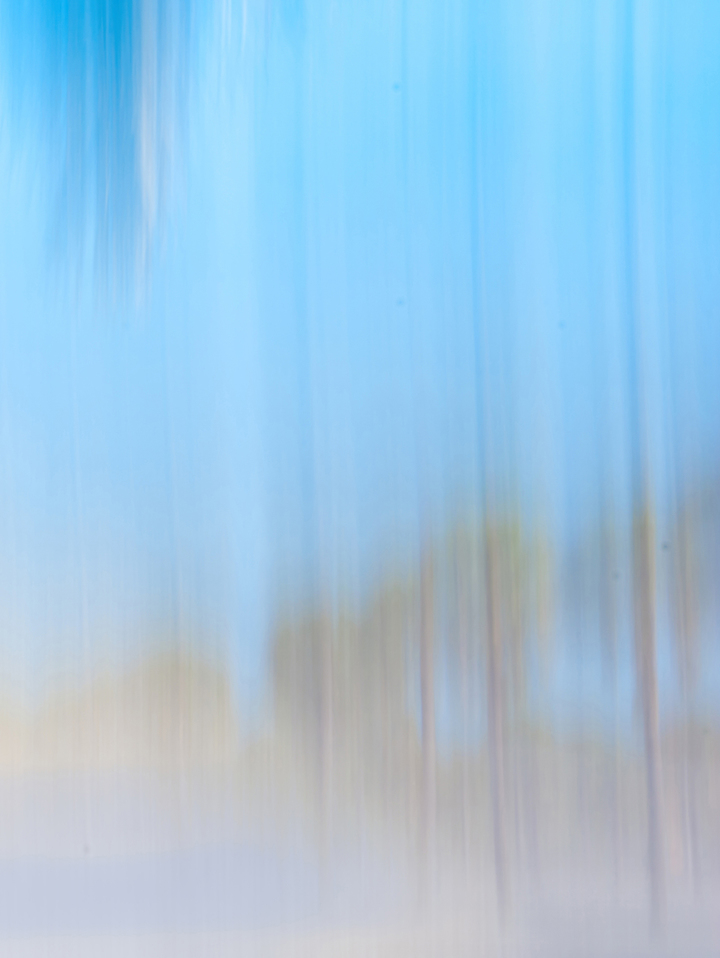 Moving Trees 13 Triptych - Right