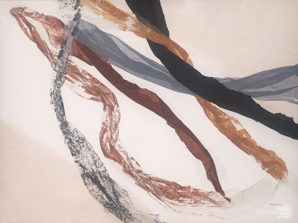 Chicago Gold Coast Condo