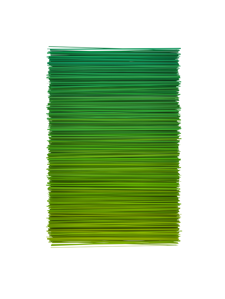 Color and Lines 2