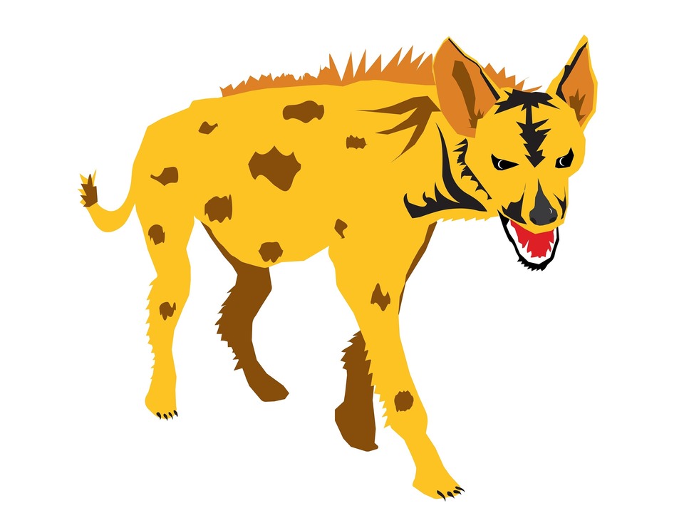Hyena