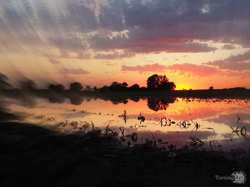 Somewhere West of Monrovia