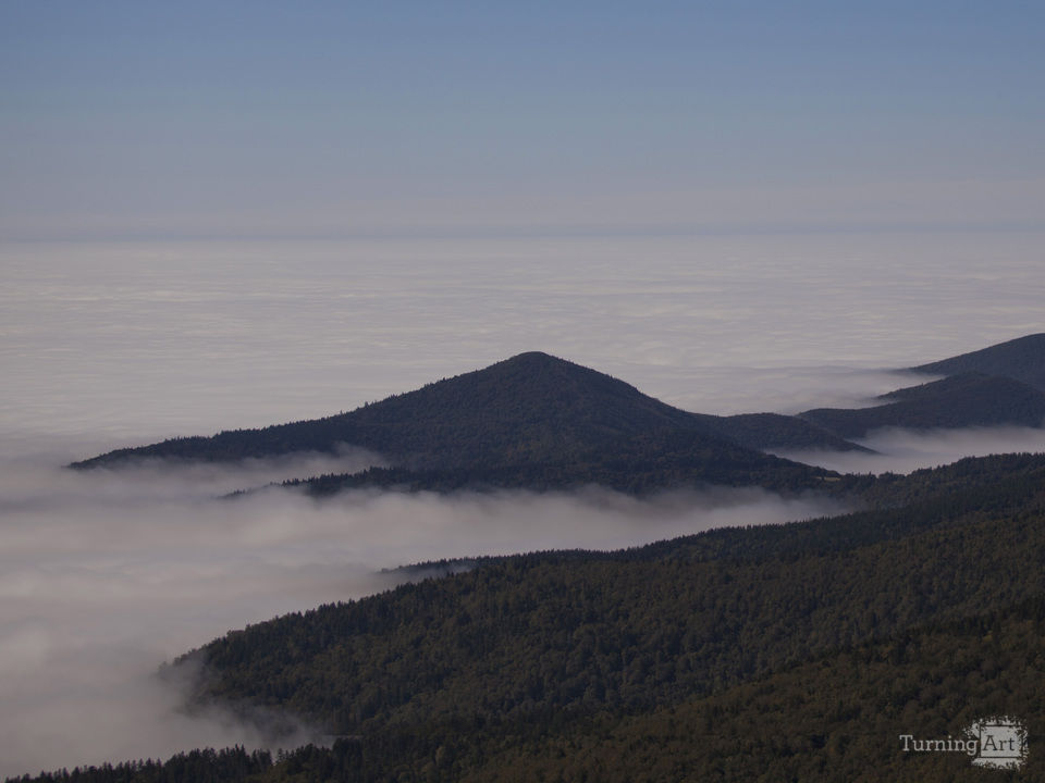 Sea of fog