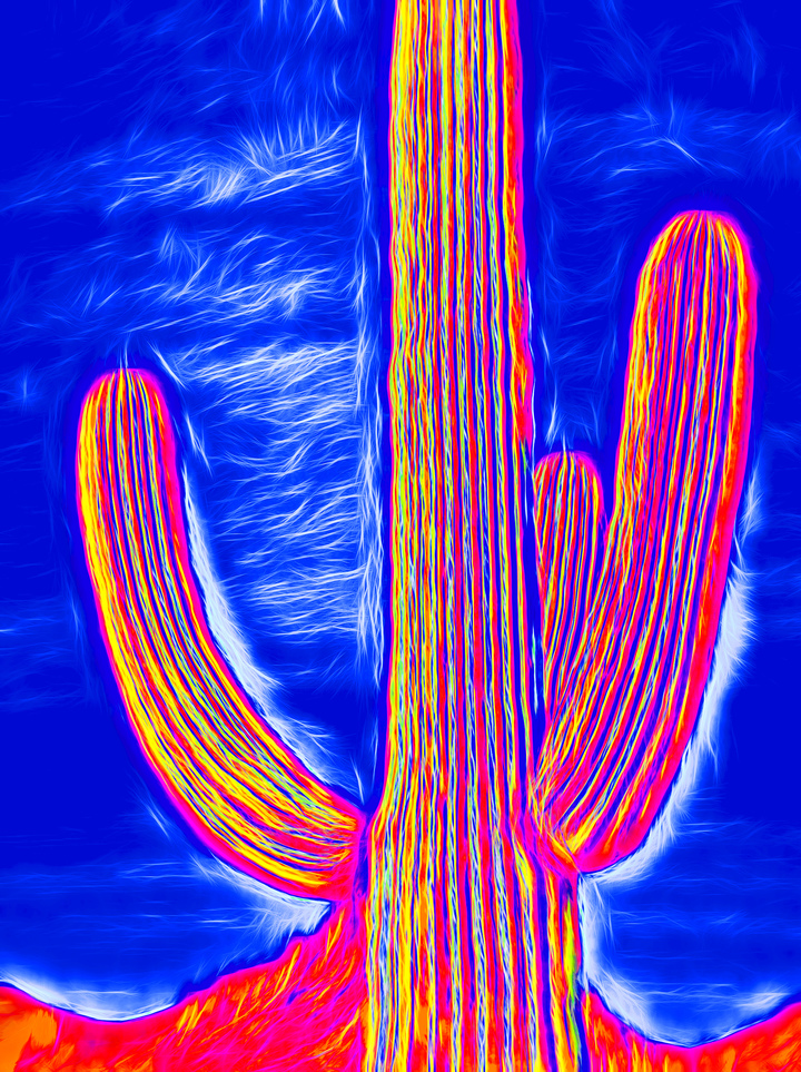 Pop Impressionist Saguaro #9