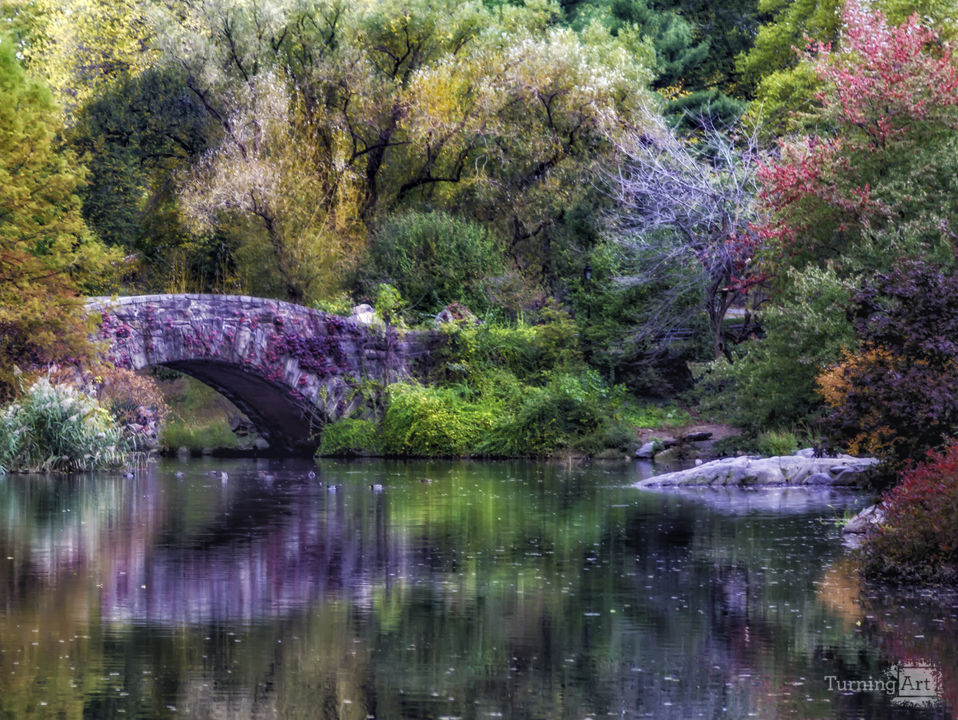 Amazing Autumn Colors  2738