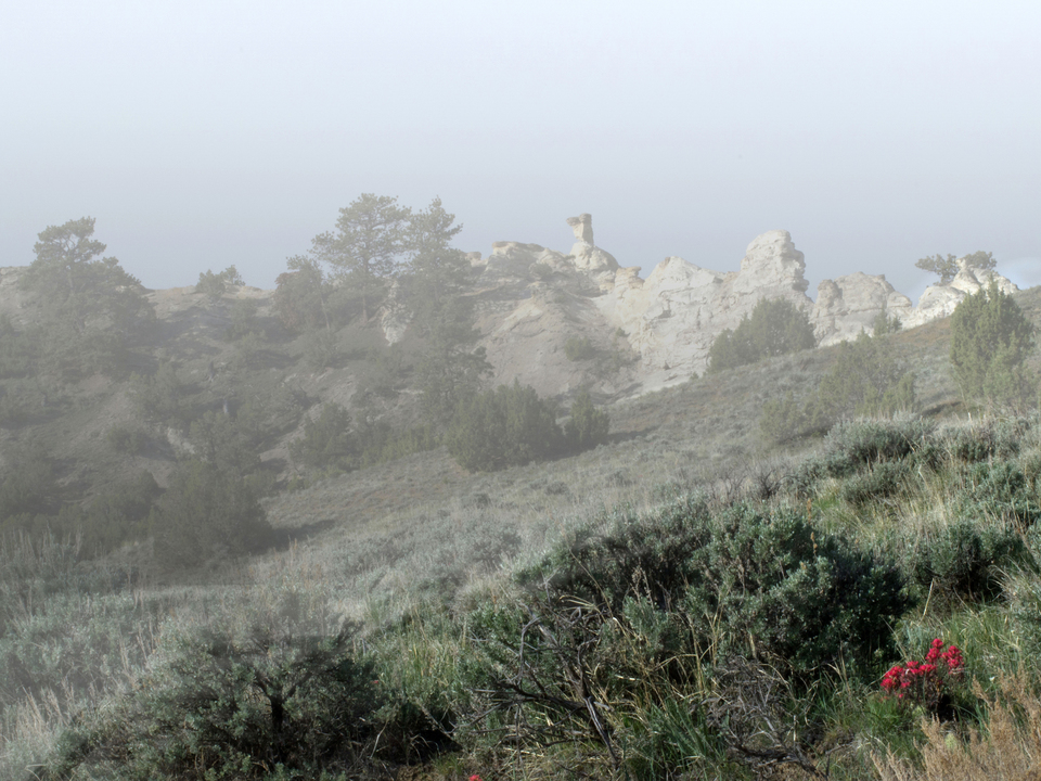 Hoodoos in the Mist