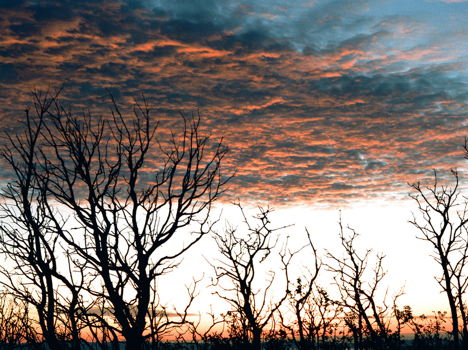 Mount Diablo Sunset