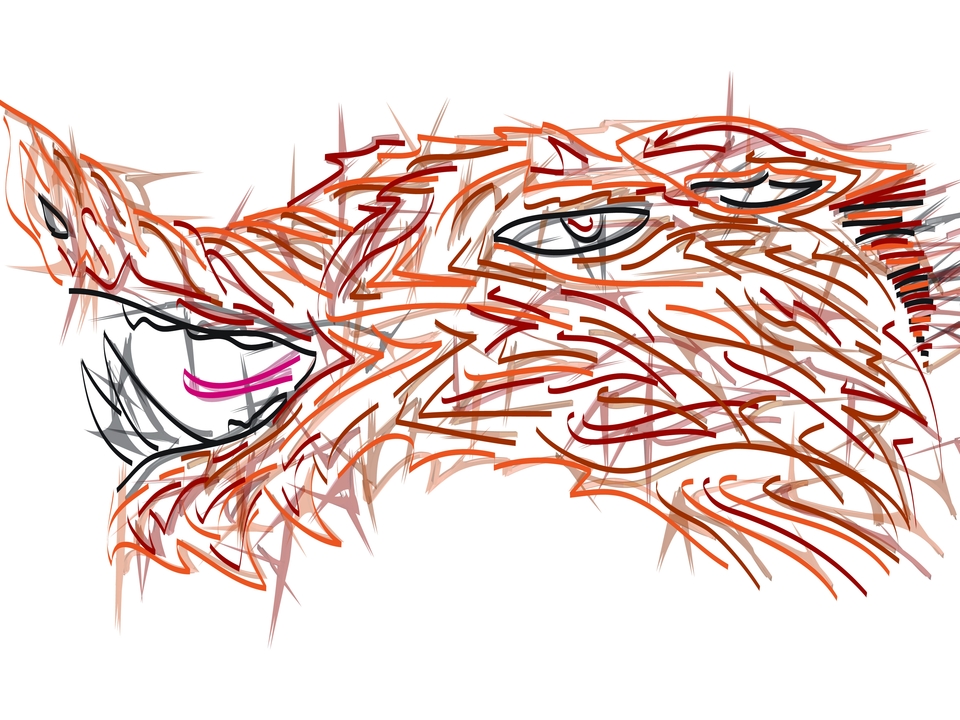 North American Megafauna: Wild Boar