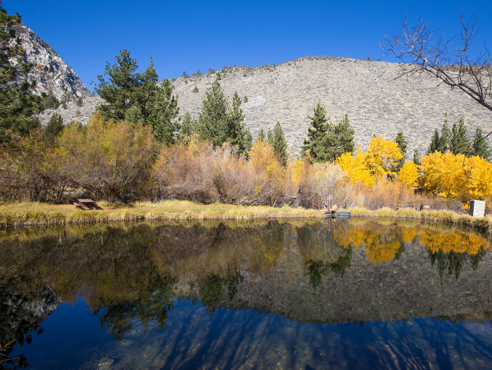 Big Pine Lake Reflections
