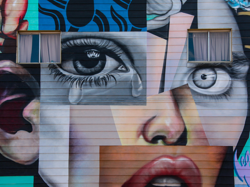 Windows On A Forehead