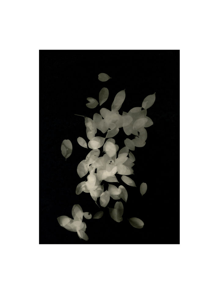 Theme III - Meeting yourself_05