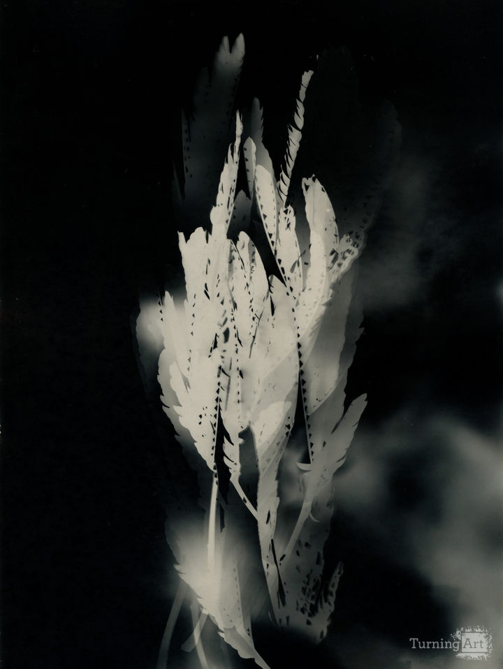 Theme V - Moment of nothingness