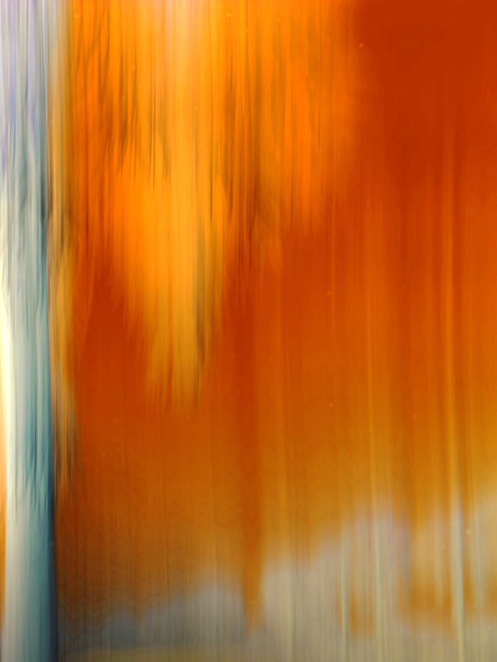 Moving Trees 47